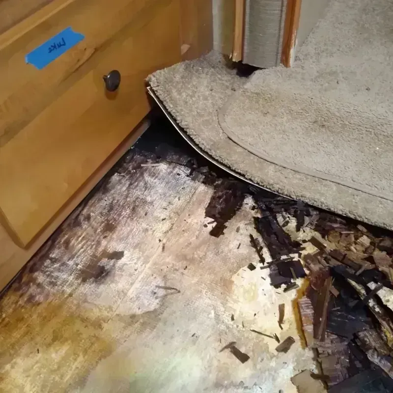 Wood Floor Water Damage in Rochelle, GA